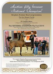 Auction filly becomes National Champion!