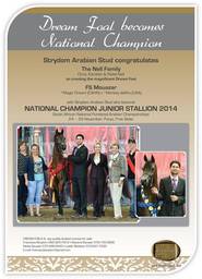 Dream Foal becomes National Champion